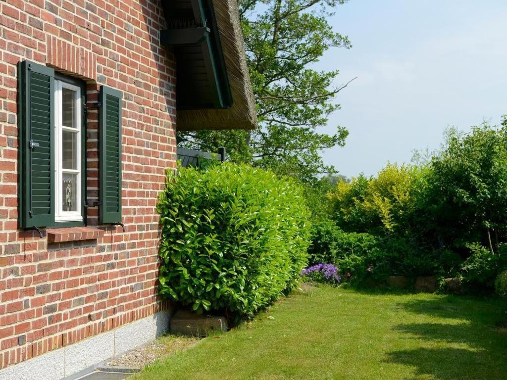 Wildrose Ferienhaus Boltenhagen  Luaran gambar