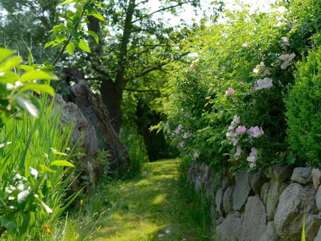 Wildrose Ferienhaus Boltenhagen  Luaran gambar