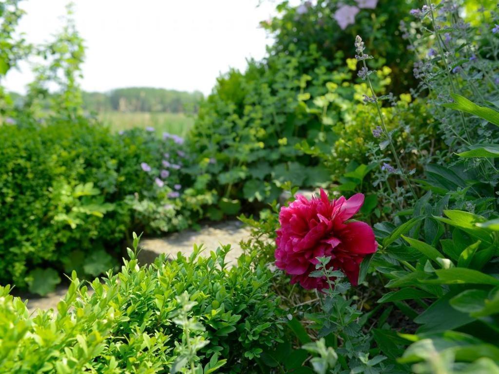 Wildrose Ferienhaus Boltenhagen  Luaran gambar